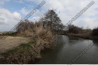 Photo Texture of Background Spring Nature